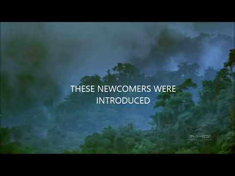 Video: Paano nakakaapekto ang mga invasive species sa biodiversity?