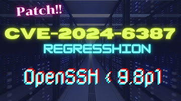 Patch CVE-2024-6387 regreSSHion 9.8p1