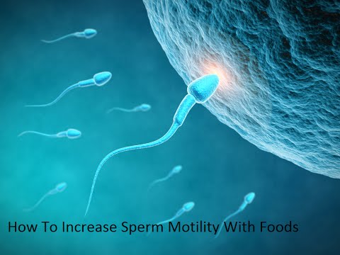 how-to-increase-sperm-motility-with-foods-|ways-to-increase-sperm-count-&-sperm-motility-naturally