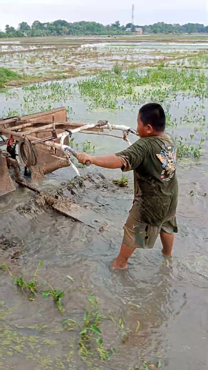 anak kecil bajak sawah