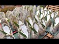 눈으로 먹는 재미! 대나무와 쑥이 들어간 울산 십리대숲 대나무빵! | How Bamboo Bread is Made | Korean Dessert