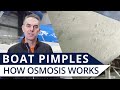 Boat Osmosis on a Hull Bottom