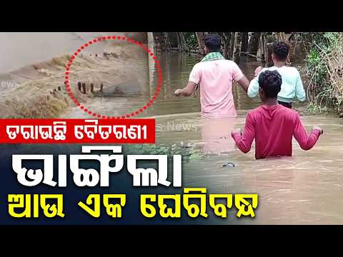 Double Flood Terror: Breach In Baitarani & Brahmani Rivers Submerge Jajpur | Argus News