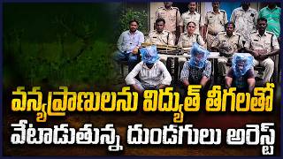Poachers Arrested in Khammam for Hunting Wildlife Using Electric Wires | V6 News