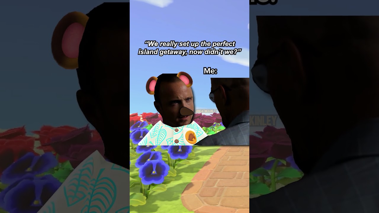 You Basically Did All the Work... | ACNH