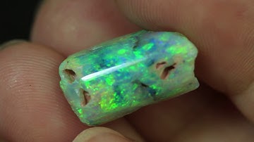 Natural Fossils Opal Lightning Ridge  absoluteopals.com