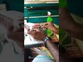 lora tourist bus/miniature bus/ seikr work/lora holidays/#shorts
