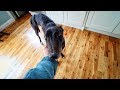 We GOT our Greyhound | VLOG #51