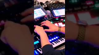 🍄TRIPPY Mushrooms🍄 DAWless Techno Jam