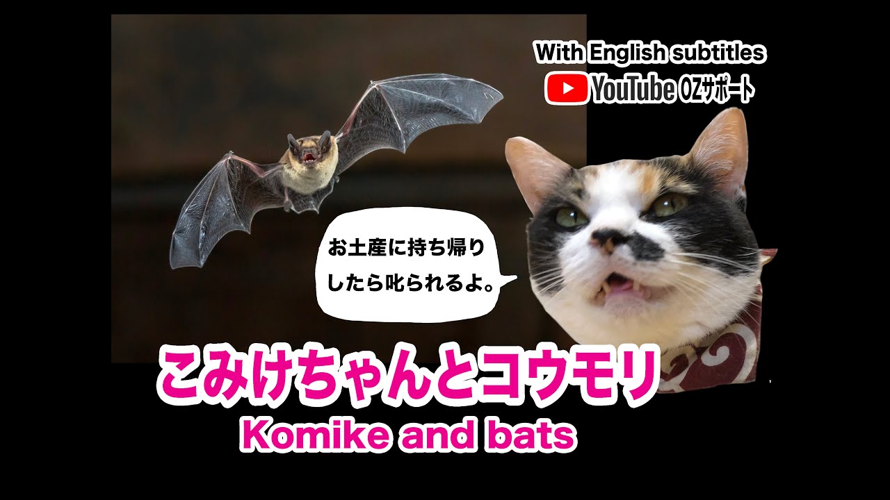 おしゃれ三毛猫 こみけちゃんとコウモリ Komike Bats Hd 1080p Youtube