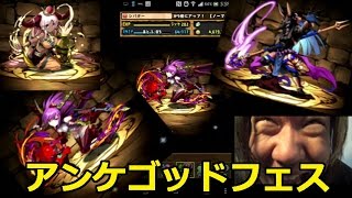 【シバター】アンケゴッドフェスに2.5万円ぶっこむ！前編