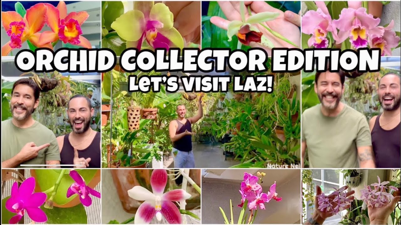 HOME VISIT SPECIAL. Come see a wonderful collection of orchids and plants from collector Laz.