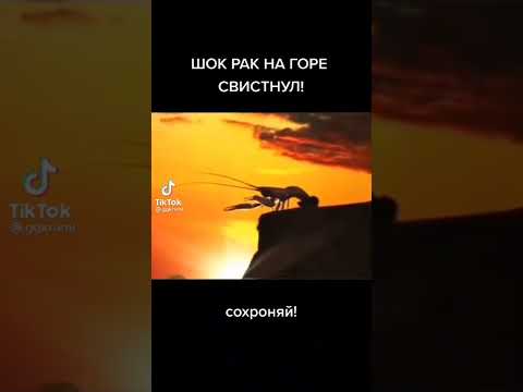 2 апреля 2022