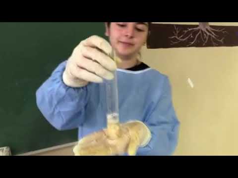 ჩხირკედელა 4/ ქიმიის კლუბი ხელმ: ელისო აბრამიშვილი