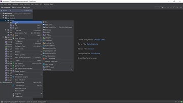 WordPress Plugin Development - 01 - Initial Setup