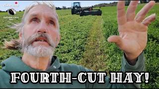Hoping To Harvest Fourth-Cut Hay In Autumn