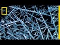 Microscopic Time-Lapse: See the Crazy Chemistry of Reacting Metal | Short Film Showcase
