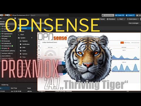 Настройка Unbound DNS, Split DNS и Crowdsec на OPNsense