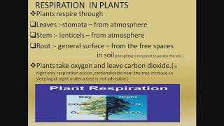 Std-9 ,biology,ch -7,part 1/2 ...