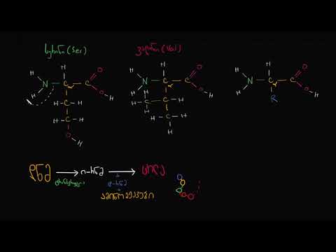 Vidéo: HSP60 Régule De Manière Critique La Production Endogène D'IL-1β Dans La Microglie Activée En Stimulant La Voie Inflammatoire Du NLRP3