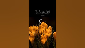 آيات من القرآن#آيات_من_كتاب_الله #ايات_القرآن_الكريم#اكسبلور #love #duet