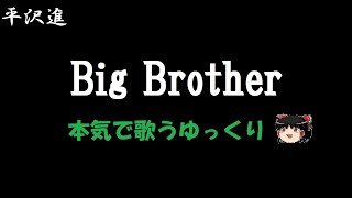 【核P-MODEL】【平沢進】Big Brother "ゆっくりに歌わせた"