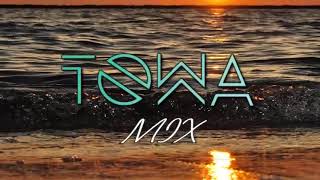 TOWA MIX 2019|| [ DJ BOYZ ] ||  Tragito De Mas, Modo Avión,Castigo...
