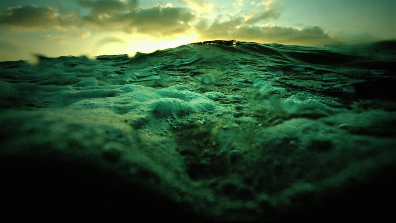 Bee Hunter - Agava (Original Mix)