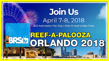Come meet Ryan and Randy at Reef-A-Palooza Orlando 2018! | BRStv
