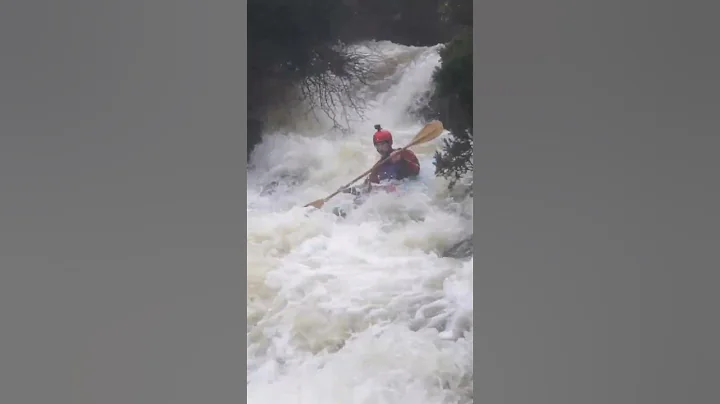 Kayaker vs. Gorse Bush! #shorts #kayaking #whitewater