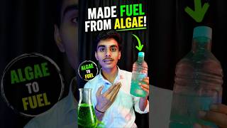 From Algae to Fuel 🔥