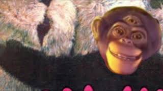 My Monkey Was Paul