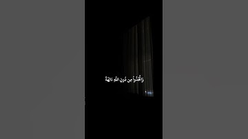 سورة مريم                   القارئ: ماهر المعيقلي       الايات :84-77     أكتب شيء تؤجر عليه