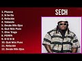 Sech 2024 MIX Nuevas Canciones Picasso Si Se Da Relación Volando Sech 2024 MIX Nuevas Canciones Picasso Si Se Da Relación Volando
