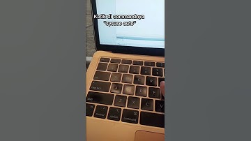 Belajar Olah Data dengan Aplikasi Stata