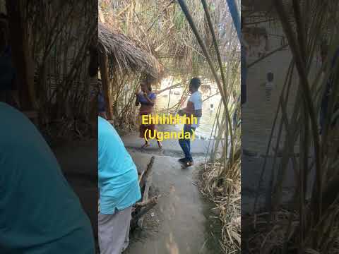 Uganda Traditionalmusic Sound Viralvideo 2026 Fyp 