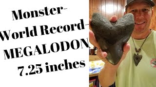 Largest MEGALODON shark tooth 7+ INCHES huge - part 3 of 4