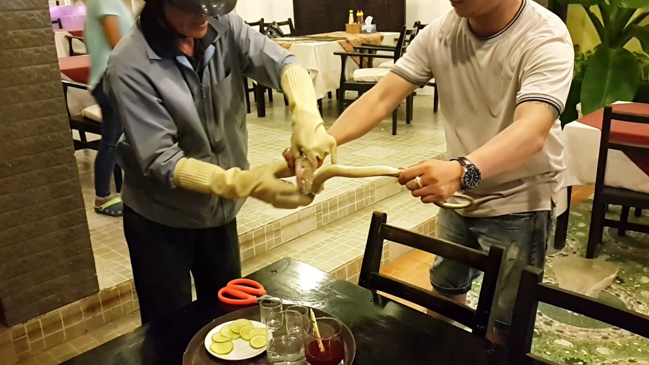 Кровь у змей. Кобра блюдо во Вьетнаме.