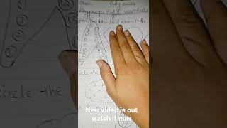 class playgroup English worksheet an important announcement