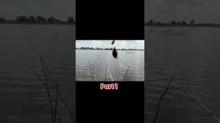 Umpan Baru Turun Lngsng Hap 1 mancing mancinggabus mancingmantap  mancingbetok