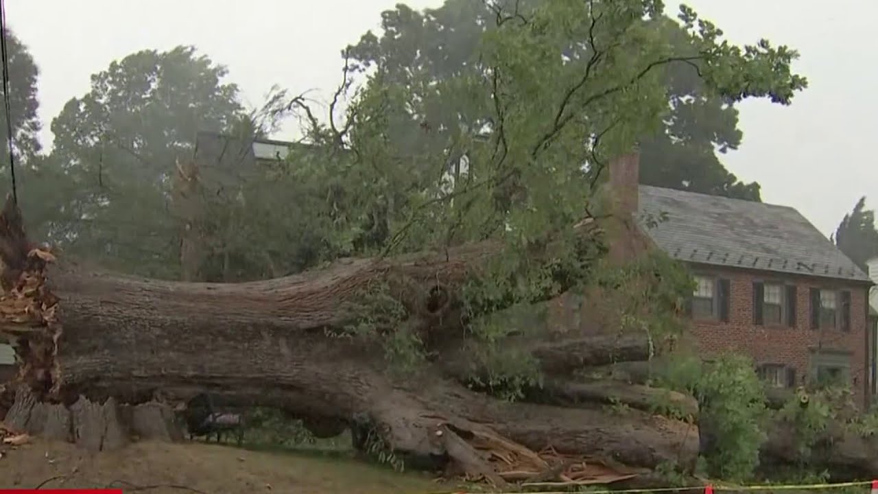 Cleanup begins after storms leave damage across region | NBC4 ...