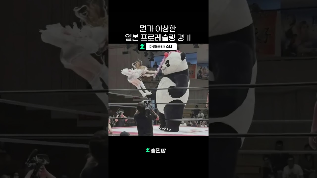 뭔가 이상한 일본 프로레슬링 경기