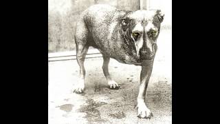 Alice in Chains - Shame in You