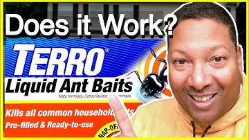 TERRO Ant Bait Traps Killer Liquid and Granules Review | How to Use, Does it work, Application