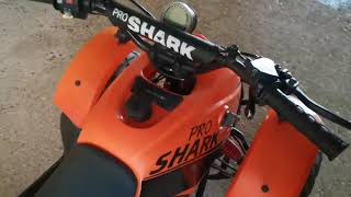 Quadzilla Pro Shark 100cc