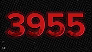 3955 
