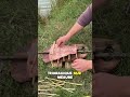 Cuisson du poisson simple et savoureuse