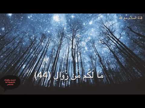 اسلام صبحي و ل ا ت ح س ب ن الل ه غ اف ل ا ع م ا ي ع م ل الظ ال م ون