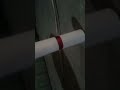 aquí somo macho