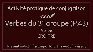 Activité pratique - Conjugaison des verbes du 3e groupe (Partie 43, Niveau 2)